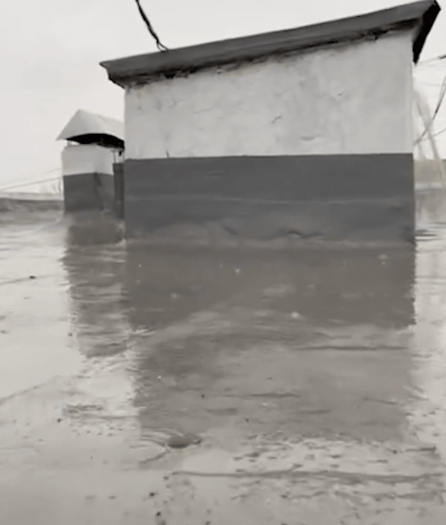 Відгук Ірини